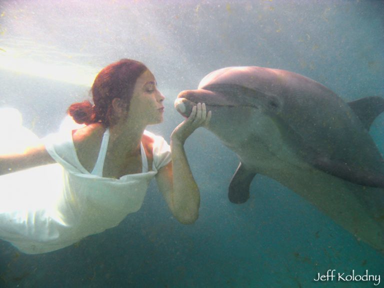 Read more about the article As a Miami advertising photographer, I was thrilled to shoot this ad for Miami Seaquarium.